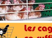 Interview Franck l’asso NEA…