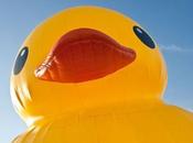 canard géant